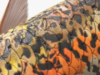  Rigged Freshwater Fish Collection 2 