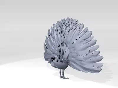 Peafowl Voronoi 3D model