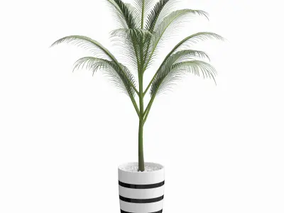 Green Palm decorative plant 1 3D model