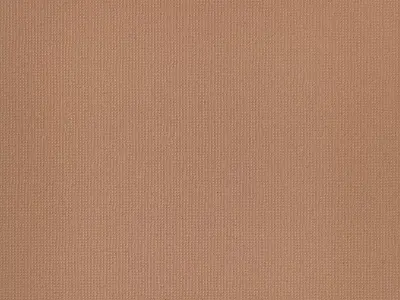 Sandstone Rough Texture 3D Model  Texture