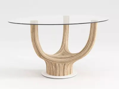 Acacia Coffee Table 3D model