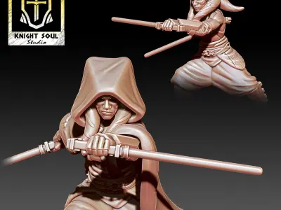 The Ronin 3D print model