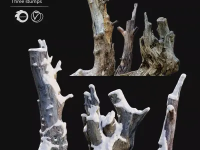 Tree stump in winter pack 01 3D model