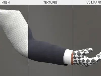  Male Arm Rock Paper Scissors Animated Rigged for Maya 
