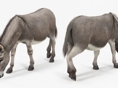  Farm Animals Big Collection 4 