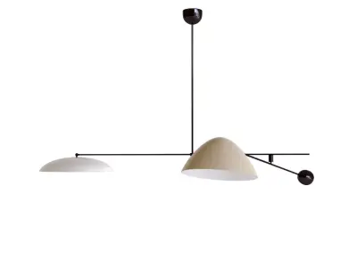 Rare Oscar Torlasco Counter Balance Ceiling Light 3D model