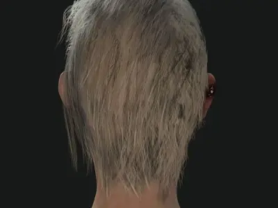 Zombie Hair  Low-poly 3D model