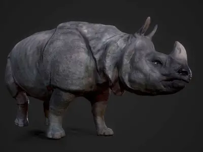 Indian Rhinoceros - Game Ready Low-poly 3D model purchase