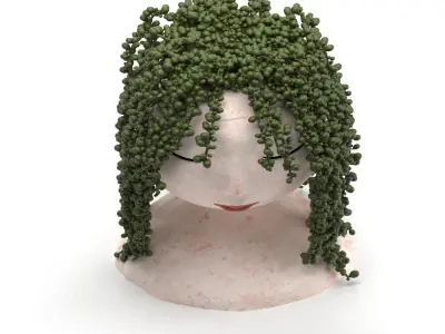 plant-indoor-02 3D model