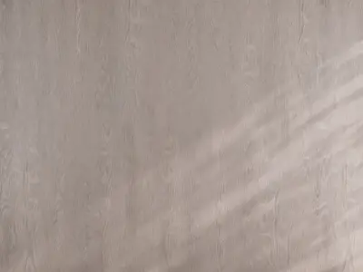 Wood material v08 Texture