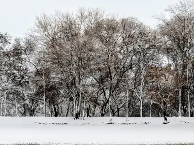 Panorama of the park with a lake and snow-covered trees - 35k 3D model