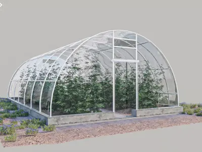 Cannabis Greenhouse with Plants 3D model
