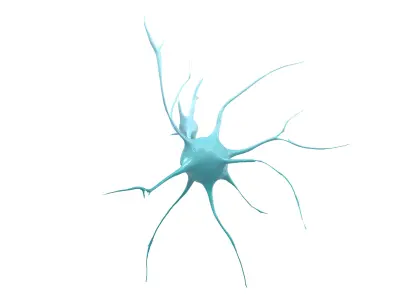 Neurons v1 001 Low-poly 3D model