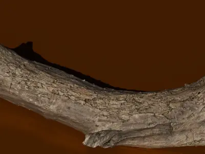 4K High Polly Tree Stump And Branch 3D model