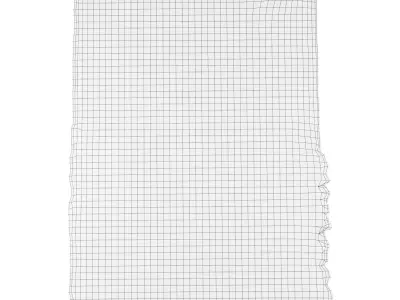 Rug The Mountains 3D model