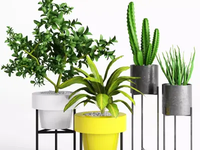 Plants And Planters 3 3D model