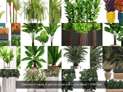 Collection of plants in pots for street and interior decor 3D Model Pack
