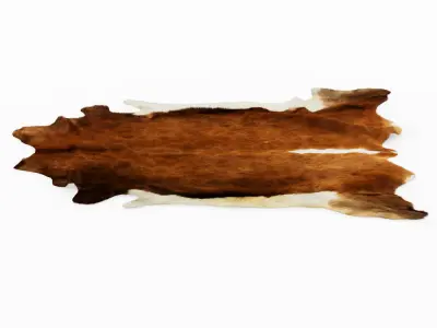 European Rug Cowhide Brown and White 3D model