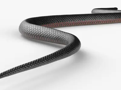  Mexican Black Kingsnake Crawling Animated Rigged For Blender 