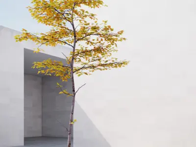 Small Autumn tree vpt027 3D model