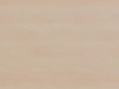 Light Birch Veneer Wood PBR Texture