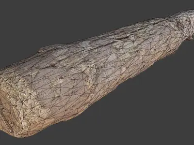 Wood Log Low-poly 3D model