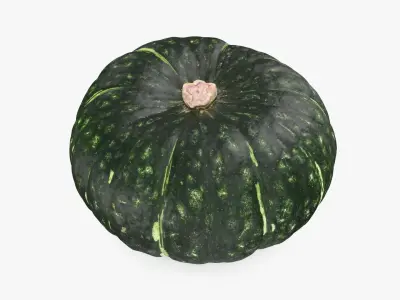  Pumpkin Collection 3 