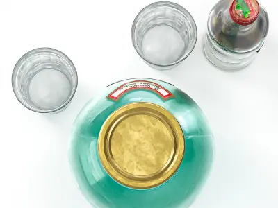 Gift for a friend 3D model