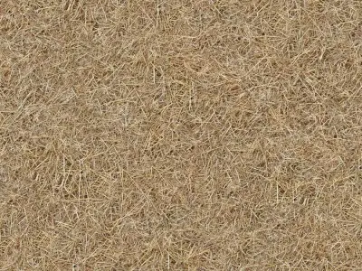 Rural Farm Straw Ground Texture  Texture