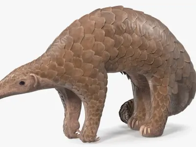  African Mammals Rigged for Maya Collection 