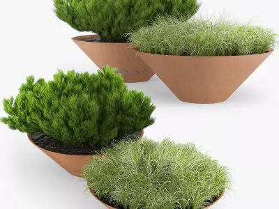 DAMAS BY ARRIOLA FIOL 3D model