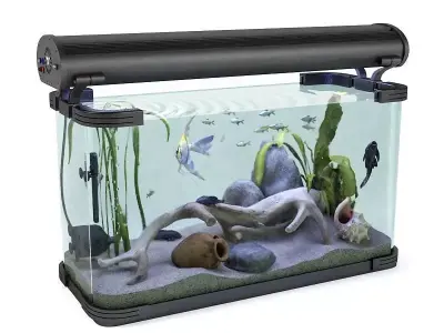 Aquarium best fish tank for beginner 3D model