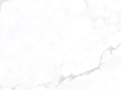 Calacatta Crisp White Marble Texture Texture