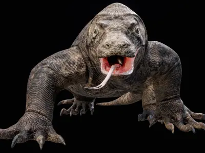 Komodo Dragon Detailed Rigged PBR 
