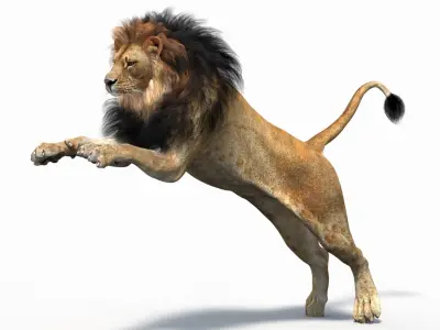  Lion 2 Animated Polygonal Mane 
