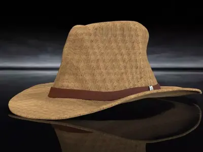 Cowboy Hat Free 3D model