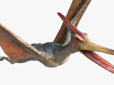  Pteranodon(Rigged)(Animated) 