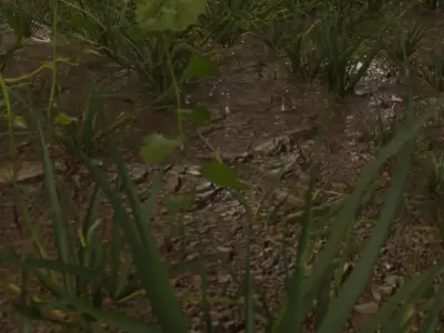 Realistic animated rainy forest 3D model