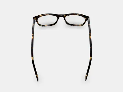 Welty Eyeglasses in Whiskey Tortoise 3D model