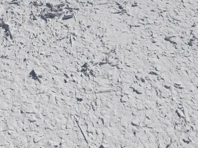 Ground autumn scan 3D model