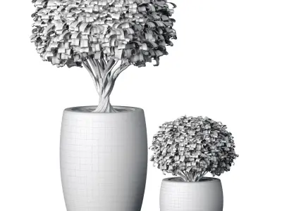 Decorative tree in a garden Indoor interior Plant collection 3D model