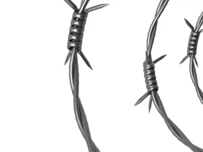 Barbed Wire 3D model