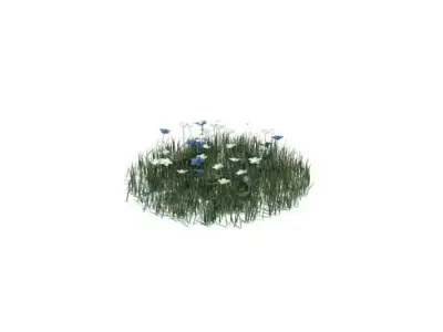 Flowered Grass Plot 3D model