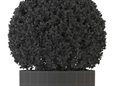 Plants collection 327 3D model