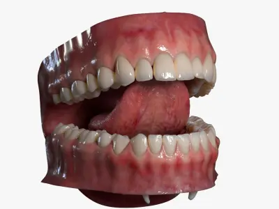  Mouth (Rigged) 