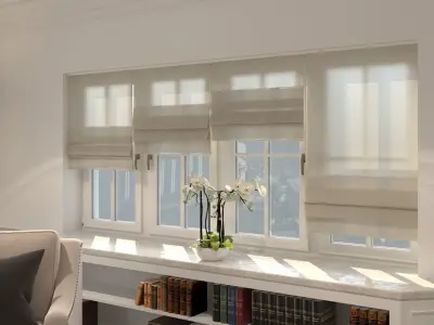 Blinds 2 pair of glass doors 3D model