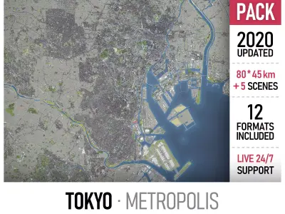 Tokyo Metropolis 3D Model Pack