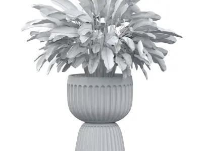 Decorative fern in a modern black vase pot flowerpot 3D model