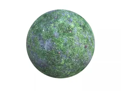 Grassy Ground Texture