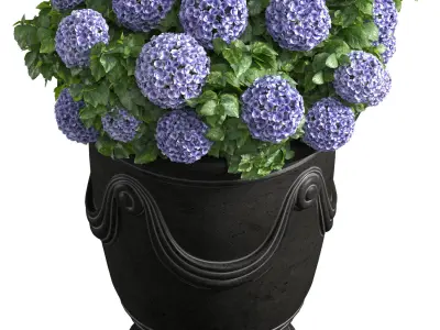 Hydrangea in a classic French Vase Front Entrance Porch  3D model